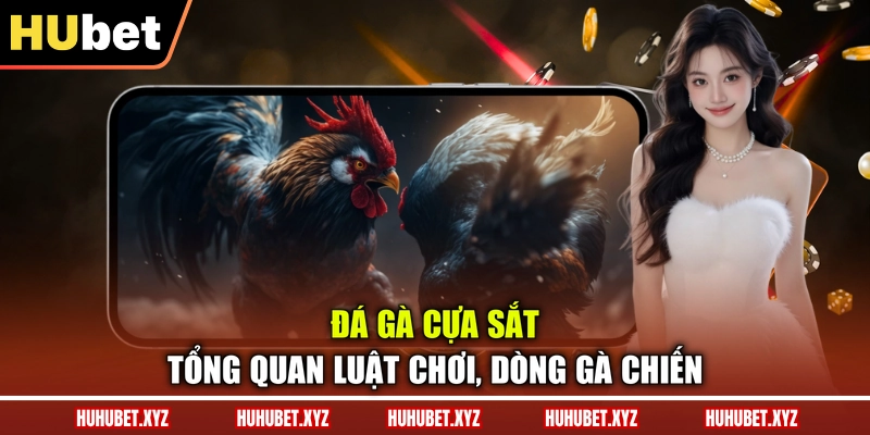 Đá Gà Cựa Sắt - Tổng Quan Luật Chơi, Dòng Gà Chiến 1 Đá Gà Cựa Sắt - Tổng Quan Luật Chơi, Dòng Gà Chiến