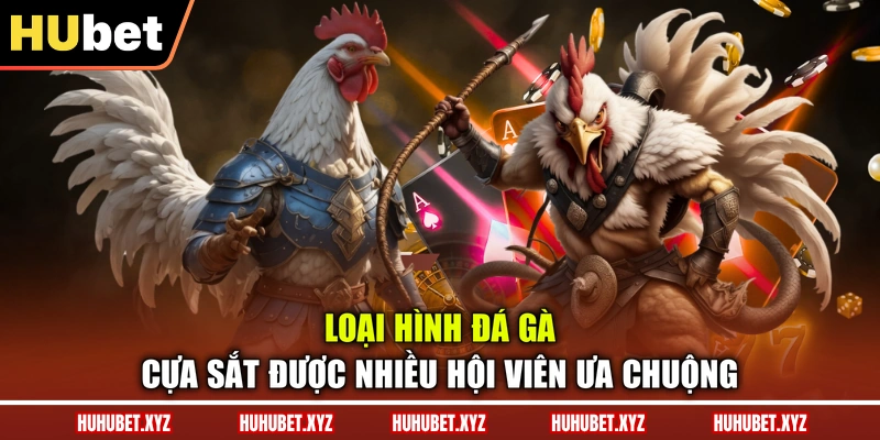 Đá Gà Cựa Sắt - Tổng Quan Luật Chơi, Dòng Gà Chiến 2 Loại hình đá gà cựa sắt được nhiều hội viên ưa chuộng