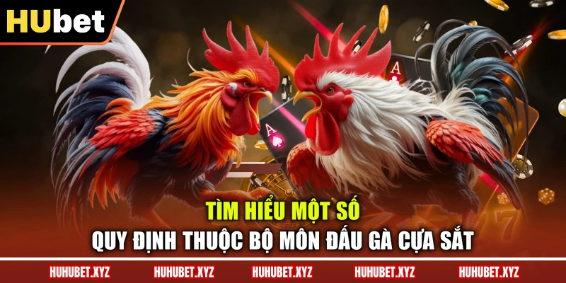 Đá Gà Cựa Sắt - Tổng Quan Luật Chơi, Dòng Gà Chiến 3 Tìm hiểu một số quy định thuộc bộ môn đấu gà cựa sắt
